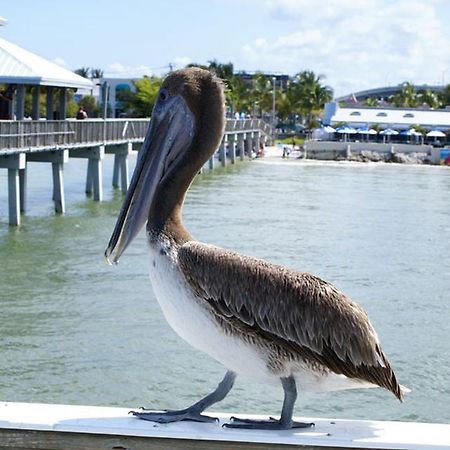 Manatee Bay Inn Fort Myers Beach Bagian luar foto