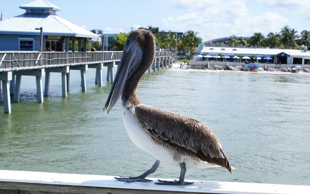 Manatee Bay Inn Fort Myers Beach Bagian luar foto